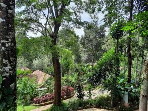 Zahrada ubytování Willow Resorts Wayanad