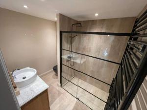 a bathroom with a shower with a toilet and a sink at de Kegelhoeve in Zonhoven