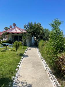 Zahrada ubytování Olive tree house,Agios Gordios