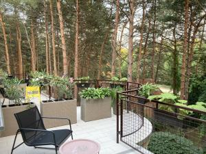 a patio with a chair and some plants and trees at Vila Dunavski Raj in Golubac