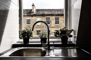 um lavatório de cozinha com vasos de plantas numa janela em Fettes Hideaway em Edimburgo