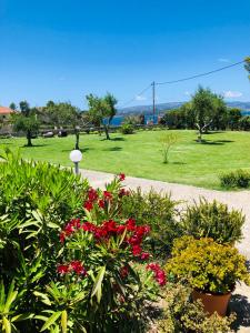 a park with red flowers and a field of grass at Aloni Studios and Apartments in Lassi