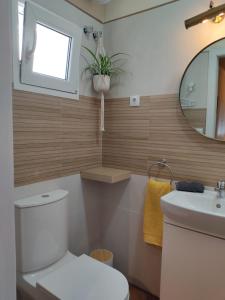Un baño con inodoro, lavabo y espejo. en ALOJAMIENTO La CAPILLITA HABITACION CON BAÑO, en Sanlúcar de Barrameda 24 fotos más