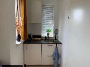Η κουζίνα ή μικρή κουζίνα στο Etoile aan Zee +81 φωτογραφίες