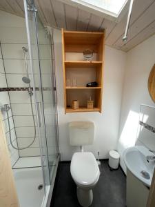 ein Bad mit einem WC, einer Dusche und einem Waschbecken in der Unterkunft Eleven Apartments in Rust