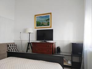 TV a/nebo společenská místnost v ubytování Atelier Keszthely