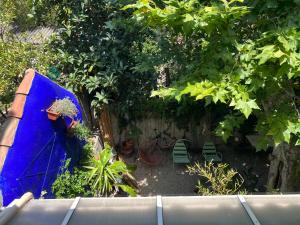 uma vista para um jardim com um guarda-chuva azul em T2 centre ville au calme absolue em Marselha
