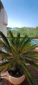 Gallery image of Hvar-Pakleni islands- isolated Robinson House Moj Mir in Hvar