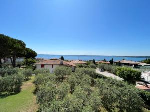 Příroda nedaleko prázdninového domu