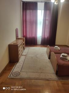 穆卡切沃的住宿－Apartments Domovik ,Kirilla i Mefodiya, 5，一间卧室配有一张床、梳妆台和电视。