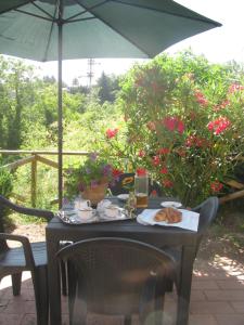 a table with an umbrella and a cat sitting on it at casavacanzetorresansevero in Orvieto