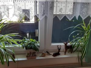 Un jardín fuera de Appartement Ferienwohnung LANG