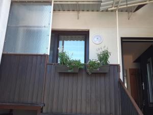 Un balcón o terraza en Appartement Ferienwohnung LANG