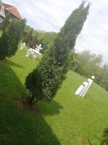 Billede fra billedgalleriet på Pensiunea Daiadela i Duşeşti + 34 billeder