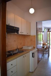 a kitchen with a sink and a refrigerator at Alexander in Pefkochori