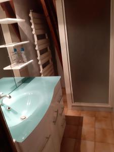 łazienka z umywalką i drabiną w obiekcie petite maison de montagne avec jardin w mieście Cier-de-Luchon