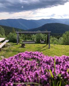 a park bench and flowers with mountains in the background at Pensiunea Casa Ancutei in Ranca