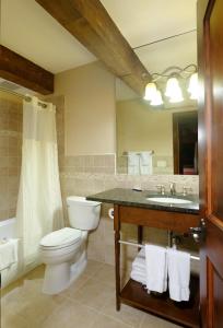 a bathroom with a toilet and a sink and a mirror at Mountain Chalet Aspen in Aspen