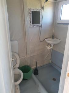 La petite salle de bains est pourvue de toilettes et d'un lavabo. dans l'établissement Casute tip A costinesti, à Costinesti