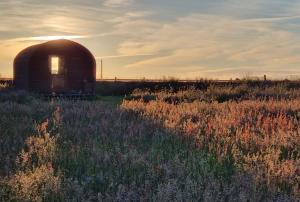 a barn in the middle of a field of grass at Celaeron Glamping in Aberaeron