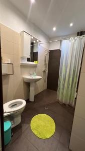 een badkamer met een toilet, een wastafel en een douche bij IMG Apartment in Sofia