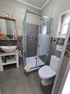 uma casa de banho com um chuveiro, um WC e um lavatório. em Calma do Mar em Madalena