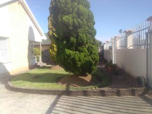 a tree in a yard next to a house at Recoupe in East London