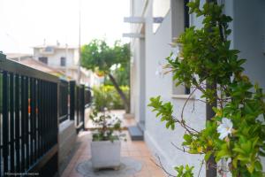 Gallery image of SoleLuna in Tortoreto Lido