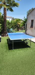 a blue ping pong table sitting on the grass at Chambres privées dans Villa des Lauriers in Saint-Raphaël
