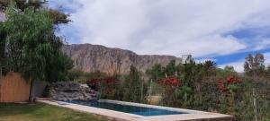 une piscine avec une montagne en arrière-plan dans l'établissement LacasadelarbolTacu, à Zonda
