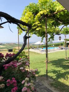 Bazén v ubytování Agriturismo La Casa in Collina nebo v jeho okolí