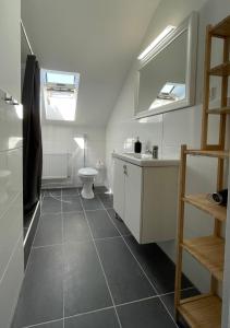 a bathroom with a toilet and a sink and a mirror at Cityapartment SB Am Homburg in Saarbrücken