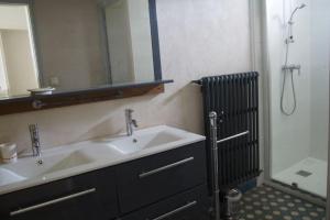 uma casa de banho com um lavatório, um espelho e um chuveiro em La Case à Jane, gite familial en pays tarnais em Coufouleux