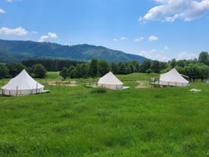 a group of tents in a field of grass at Nucsoara Glamping Cozy in Nucşoara