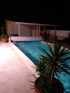 una piscina por la noche con una maceta en Studio sympa meublé avec parking privé et piscine en Manosque