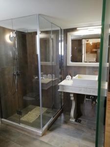 アルゴストリオンにあるMonteduca Apartmentsのバスルーム(ガラス張りのシャワー、シンク付)