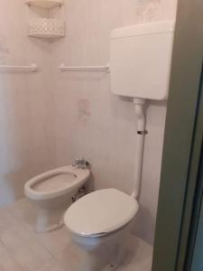 a bathroom with a white toilet in a room at Appartamenti Via Monte Braulio 19 in Bormio