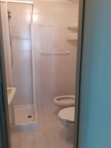 ein Bad mit einem WC, einer Dusche und einem Waschbecken in der Unterkunft Appartamenti Via Monte Braulio 19 in Bormio