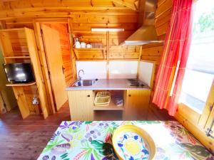Kuchyň nebo kuchyňský kout v ubytování Bungalows Camping Ferrer