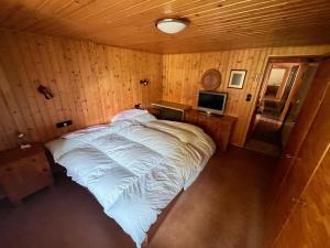 a large bed in a room with a television at Trentino Val Rendena casa con vista 3 camere doppie e 2 bagni in Groppe de Fora