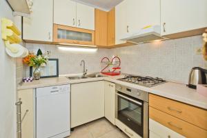 Kuchyň nebo kuchyňský kout v ubytování Apartments Jure