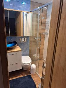 普瓦維的住宿－Apartament Karola，一间带卫生间和玻璃淋浴间的浴室