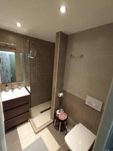 uma casa de banho com um lavatório, um WC e um chuveiro em Turmalin Apartman em Csopak