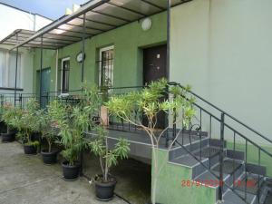A garden outside Aheloy Apartments