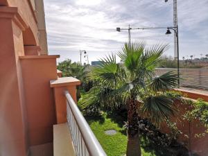 d'un balcon avec un palmier et une clôture. dans l'établissement Precioso Apartamento Planta Baja Junto a la playa, à Isla Canela