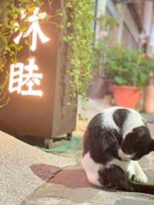 a black and white cat sitting on the ground at Mumu Inn in Hengchun South Gate