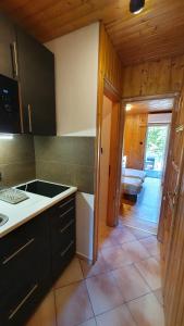 a kitchen with a sink and a counter top at Wellapartman Zamárdi in Zamárdi