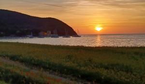 Paesaggio naturale nelle vicinanze dell'appartamento