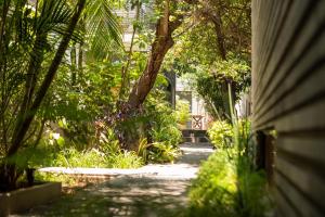 a garden with trees and plants and a building at Nardazul "Casa de Sueños" in Oaxaca City