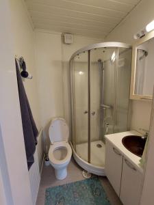 a bathroom with a shower and a toilet and a sink at Lana Guest house in Simpele